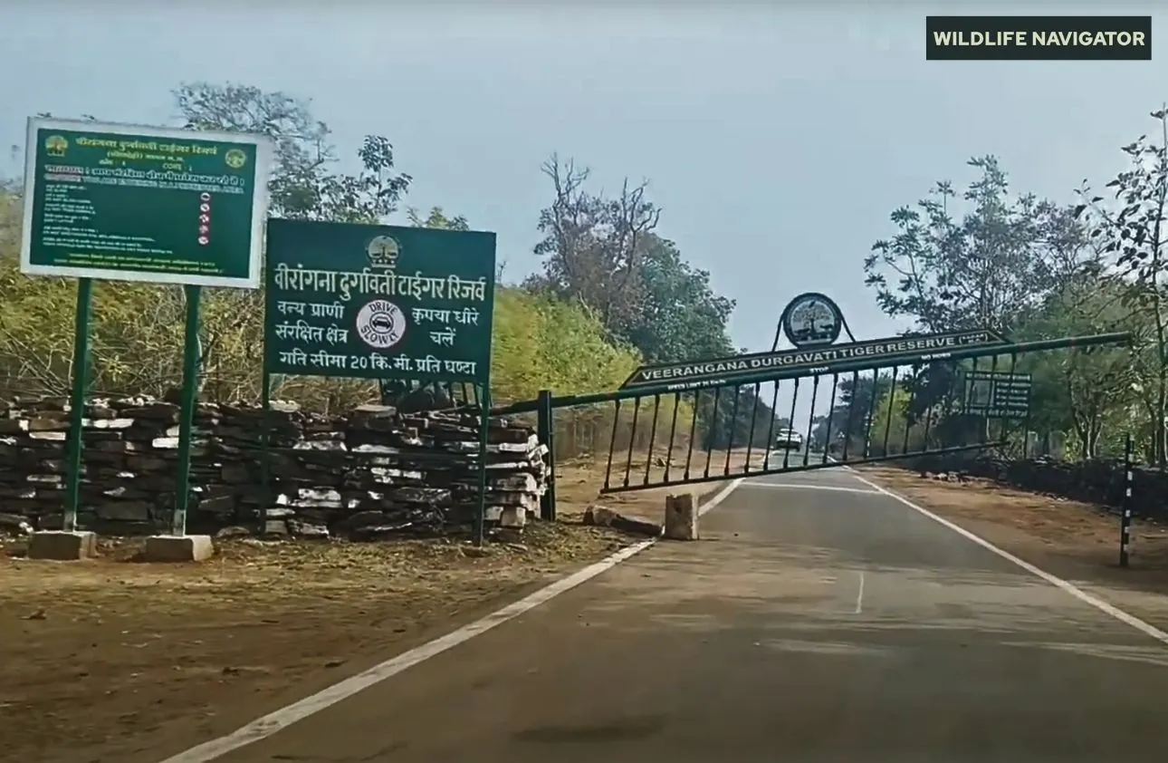 Ranidurgavati Wildlife Sanctuary